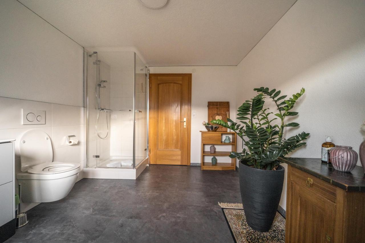 D'Alpenapartments Bezau Εξωτερικό φωτογραφία