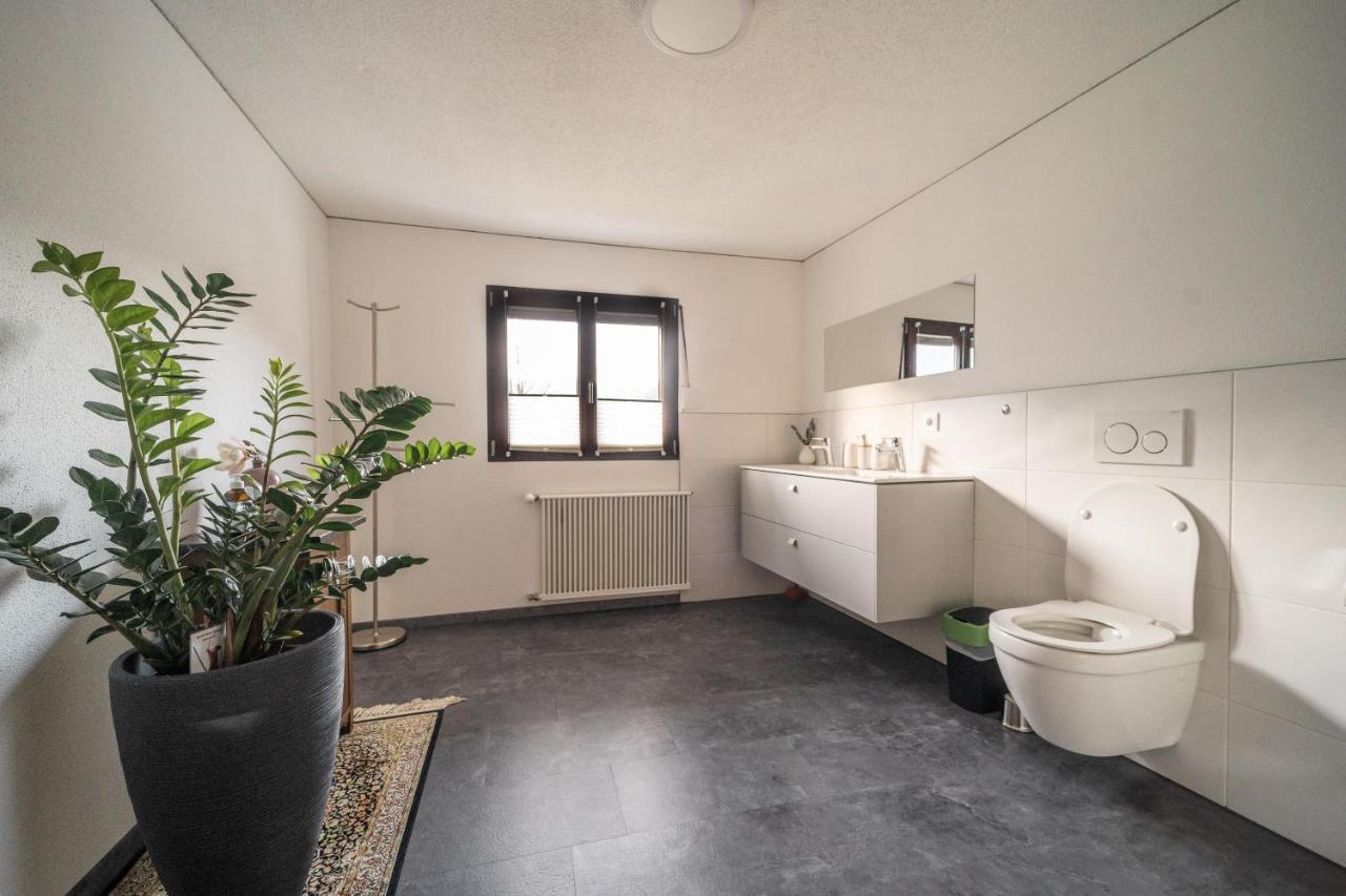 D'Alpenapartments Bezau Εξωτερικό φωτογραφία